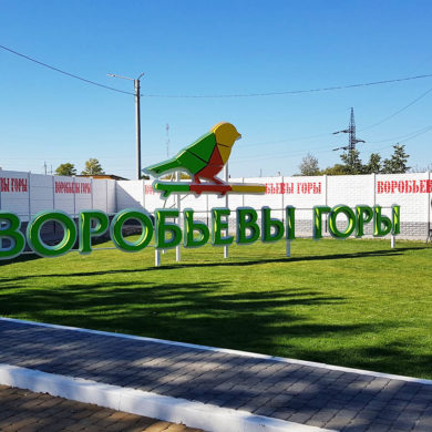 Световые буквы Воробьёвы Горы с лед подсветкой